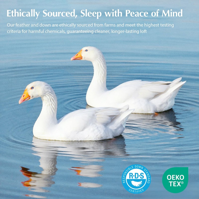 Pacific Coast Lightweight Goose Feather Down Fiber Comforters King Size,
