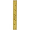 Fowler 52-349-006-0 Rigid Steel Rule with Titanium Coated Golden Finish,