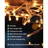 LEDYA LEDYA 500 LEDs ice rain fairy lights outdoors, 18M