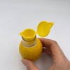 TOBEOME 3PCS Mini Manual Lemon Squeezer, Portable Lemon Juicer, Multifunctional