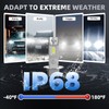 AOUKKL H3 Light Bulbs,Super Bright 6500K Cool White, Direct Replacement