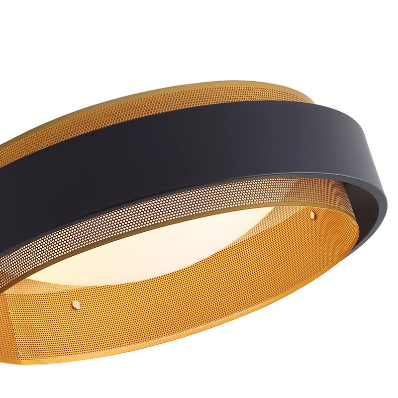 Aiwen LED Round Flush Mount Light, Contemporary Circular Ceiling Lighting