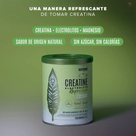 Birdman Creatine Refresher  Creatina Monohidratada con Electrolitos, Magnesio y Vitaminas  Lemon Twist  30 Porciones