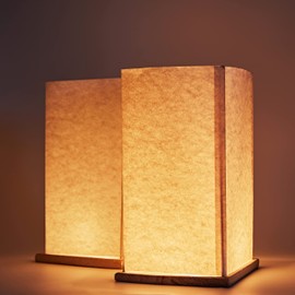 FUELYE 12Pack Floating Lanterns Square Rectangle Sets,Outdoor Lanterns Decorative with Waterproof,Floating Candles for Pool,River,Memorials,Wedding,Bar,and Parties…… (12Rectangular)