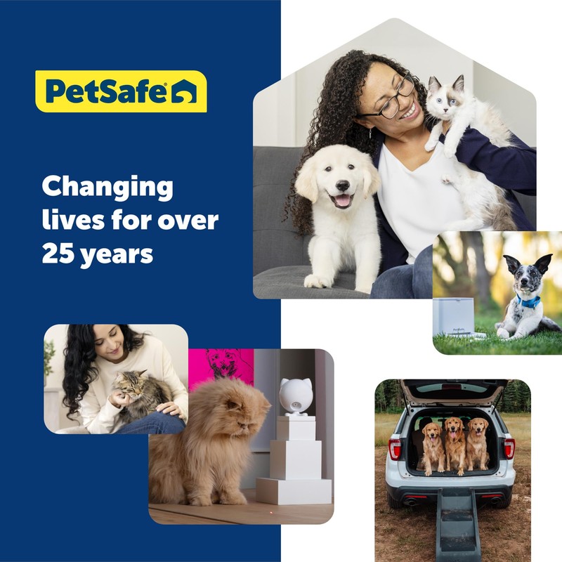 PetSafe Adjustable Martingale Collar - Only Tightens When Dogs Pull,
