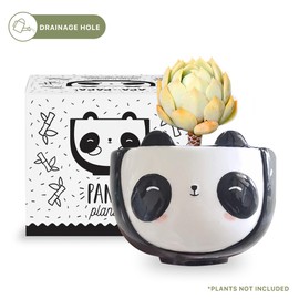Apa la Papa, Panda Animal Ceramic Planter, 5 x 5 x 4 in., Exclusive Ceramic Animal Planters for Indoor and Outdoors, Cute Hand Painted Designed in Argentina, Convenient Drain Hole