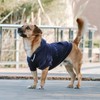 Huskimo Mt Baw Baw Dog Hoodie, Ink Blue, 33cm