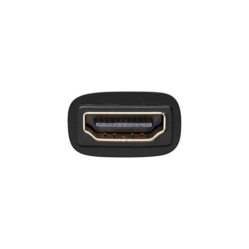 Wentronic 68931 HDMI / DVI-D Adaptor 19-Pin HDMI Female to