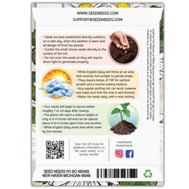 Seed Needs, English Daisy Seeds - 1,000 Heirloom Seeds for Planting Bellis perennis - White blooms, Perennial Flowering Plants for an Outdoor Garden (1 Pack)