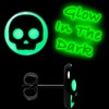 Body Candy Stainless Steel Simple Skull Glow in the Dark