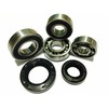 Full Set Gear Bearings and Oil Seals for Peugeot Speedfight