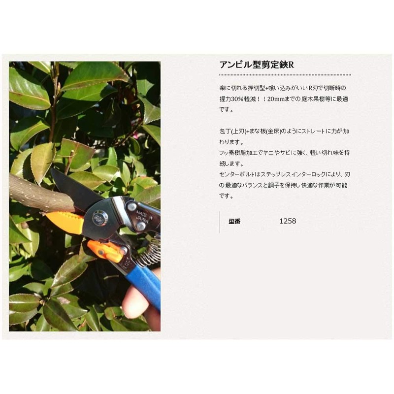 Cactus Anvil Pruning Scissor High R [Cut to grip 30%