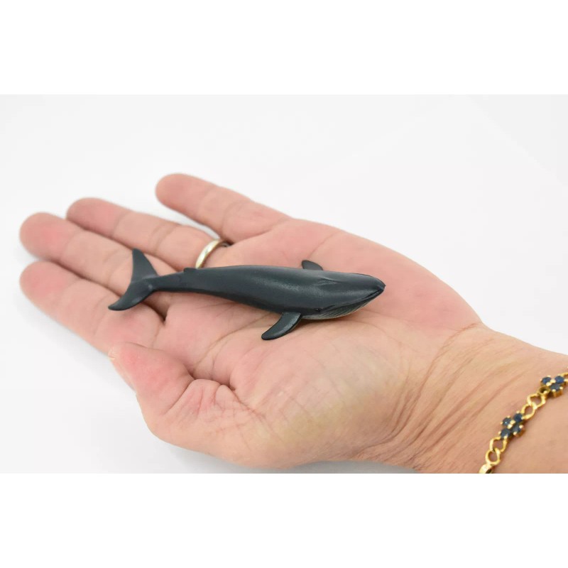 Unbranded Blue Whale Realistic Toy Ocean Figurine, Model, Replica, 4"