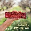Larabar Peanut Cocoa Crunch Bars, Vegan and Gluten Free Snacks,