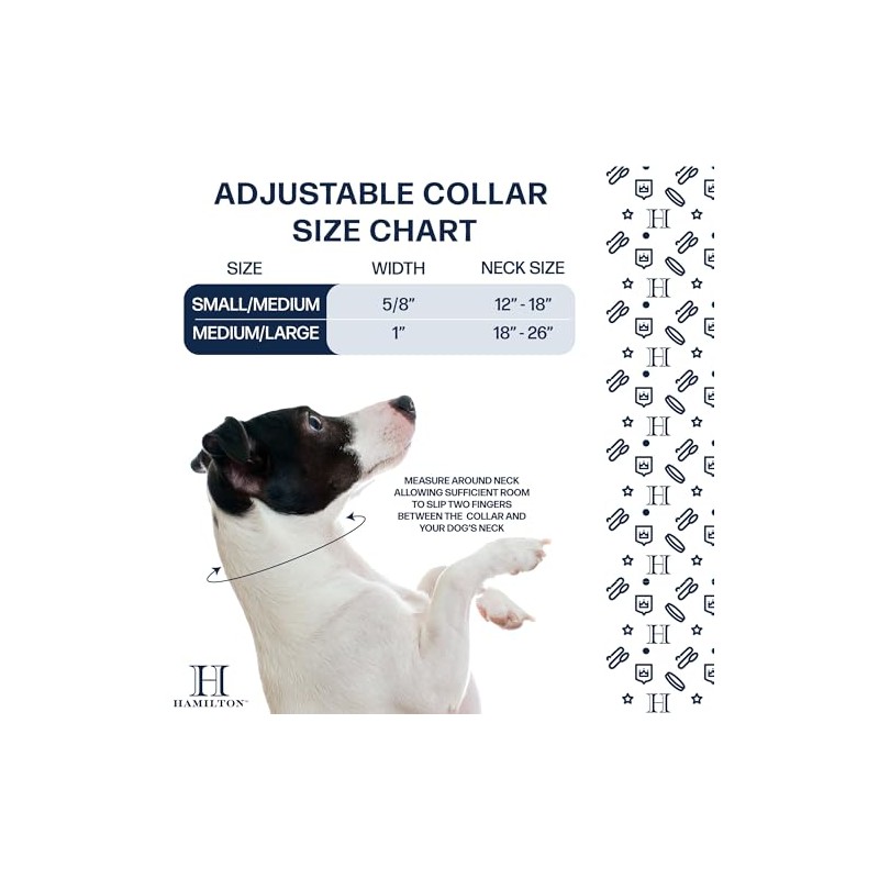 Hamilton Double Thick Nylon Buckle Dog Collar for Medium &