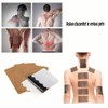 100pcs Ginger Patch, Heat Compress Paste, Back, Neck, Shoulder, Knee,