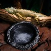 Reptile water bowl, natural rock design water tray, lizard, turtle,