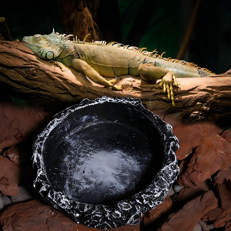 Reptile water bowl, natural rock design water tray, lizard, turtle,