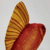 GABY Fish Pillows Goldfish Cushion, Multicoloured, M (Pack of 1)