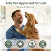 K9 Nutravie Calming Powder for Dogs – Vet‑Formulated Anxiety Relief Supplement