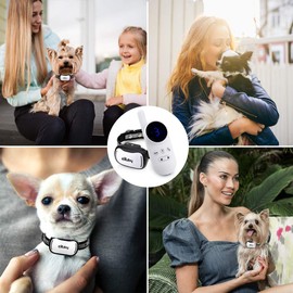 eXuby - Tiny Shock Collar for Small Dogs 5-15lbs - Smallest Collar on The Market - Sound, Vibration, & Shock - 9 Intensity Levels - Pocket-Size Remote - Long Battery Life - Water-Resistant - White