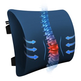 SPRING SEAON Lumbar Support Pillow Comfortable Cooling Fabric Back Cushion with Adjustable Shoulder Straps Back Support for Wheelchair Office and Car