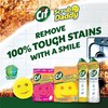 Scrub Daddy Sponges + Scrub Mommy + Cif All Purpose