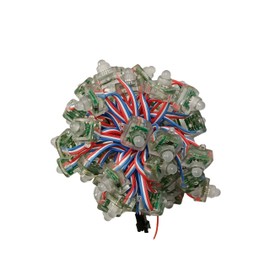 Lansan 50pcs Square WS2811 LED Pixels Individually Addressable RGB Light 12mm Diffused Digital Color Changing LED Light DC 12V IP68 Waterproof