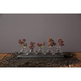 Creative Co-op Decorative Iron Rectangle Tray with Handles & 5 Glass Vases