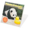 Greeting Life 2026 Calendar Panda FD C-1693-PA