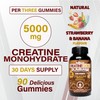 WellBoost WellBoost Creatine Gold C 5000mg Creatine Monohydrate, Vegan, Sugar-Free