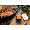 GEFU Control + Grill Thermometer - Smart Roasting Thermometer with