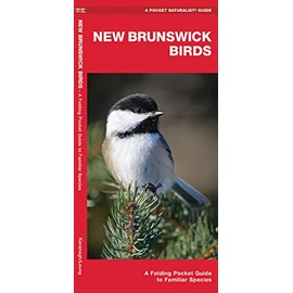 New Brunswick Birds: A Folding Pocket Guide to Familiar Species (Nature Observation North America)