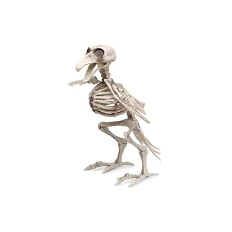 Atosa 64140 Bird Skeleton, 19 x 12 cm