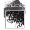 Deep Wave Human Hair Bundles (16 inch, 1 Lace Frontal