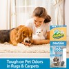 OdoBan OdoFresh Carpet and Room Deodorizer Powder for Home Smells
