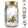 Butterfly Collection With LED Light - Animated Glass Jar Gift