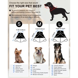 ROMANTIC BEAR Dog Cone Collar Large,Soft Dog Cone With Adjustable Buckle,Anti- Bite Elizabethan Collars For Dog & Cats, Pet Collar Comfy Cone Neck Collar After Surgery (Grey, M)