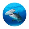 Hammer Shark in Blue Sea Ocean
