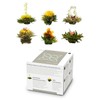 Feelino Elegant 6-piece mixing box, tea flowers Feelino White in