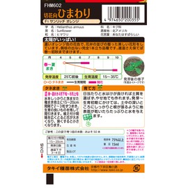 Takii Shubyo FHM602EBF Sunflower F1 Sunrich Orange
