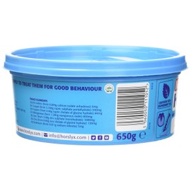 Mini Horslyx Licking Mass, Horse Supplement, Mint 650 g