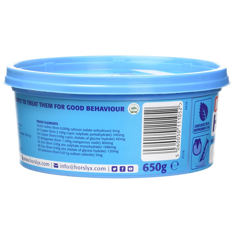 Mini Horslyx Licking Mass, Horse Supplement, Mint 650 g