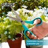 CYRUS 01017 Scissors, Stainless Steel Blades, Suitable for School and