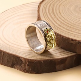 HJ HUAJ Feng Shui Ring Feng Shui PiXiu Mantra Ring PiXiu Rings,Anillo PiXiu Anillo De La Suerte Feng Shui Amulet Lucky Wealth Jewelry Rings