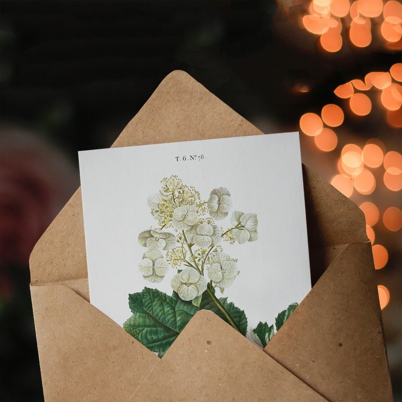 Artery8 Pierre-Joseph Redouté Art Card Oakleaf Hydrangea Flowers