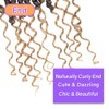 Boho Crochet Passion Twist Hair Pre looped 14 Inch 8