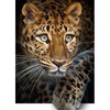 QENSPE Diamond Painting Kits Leopard 5D Diamond Art Full Drill,