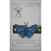 Blue Metalmark Butterfly Lasaia Sula Iron on or Sew on