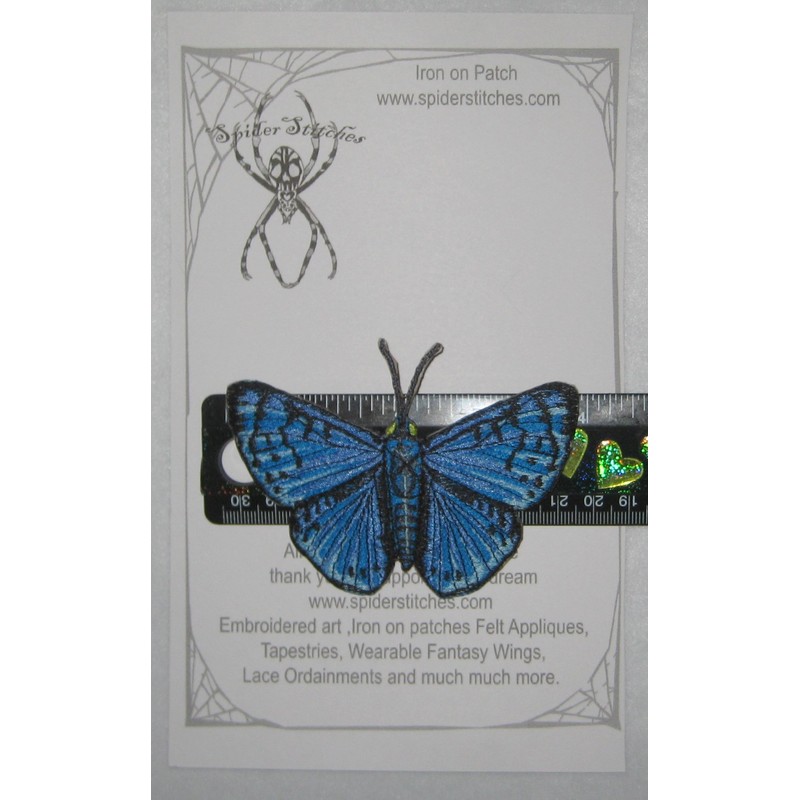 Blue Metalmark Butterfly Lasaia Sula Iron on or Sew on